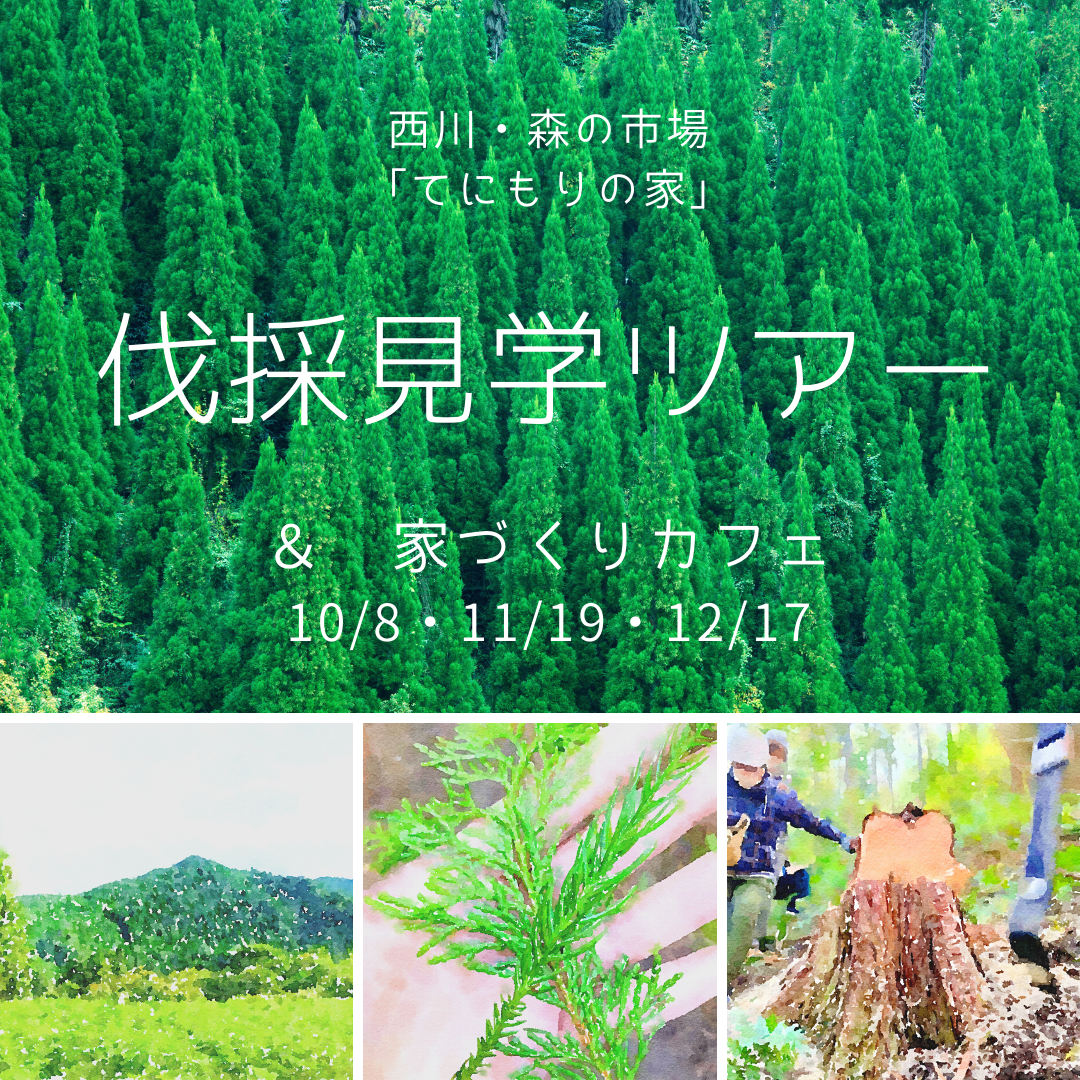 埼玉県飯能市で伐採見学ツアー&家づくりセミナーを開催します