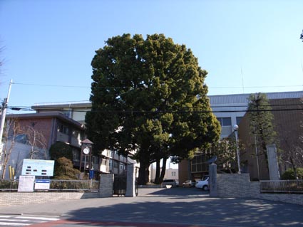d0039753_14534663.jpg